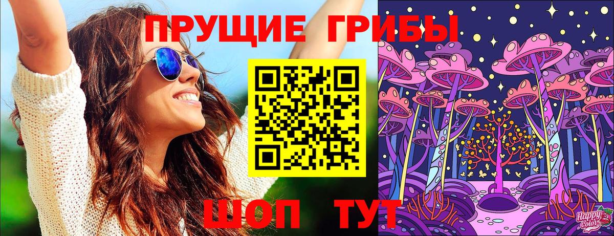 Галлюциногенные грибы Psilocybine cubensis Апатиты